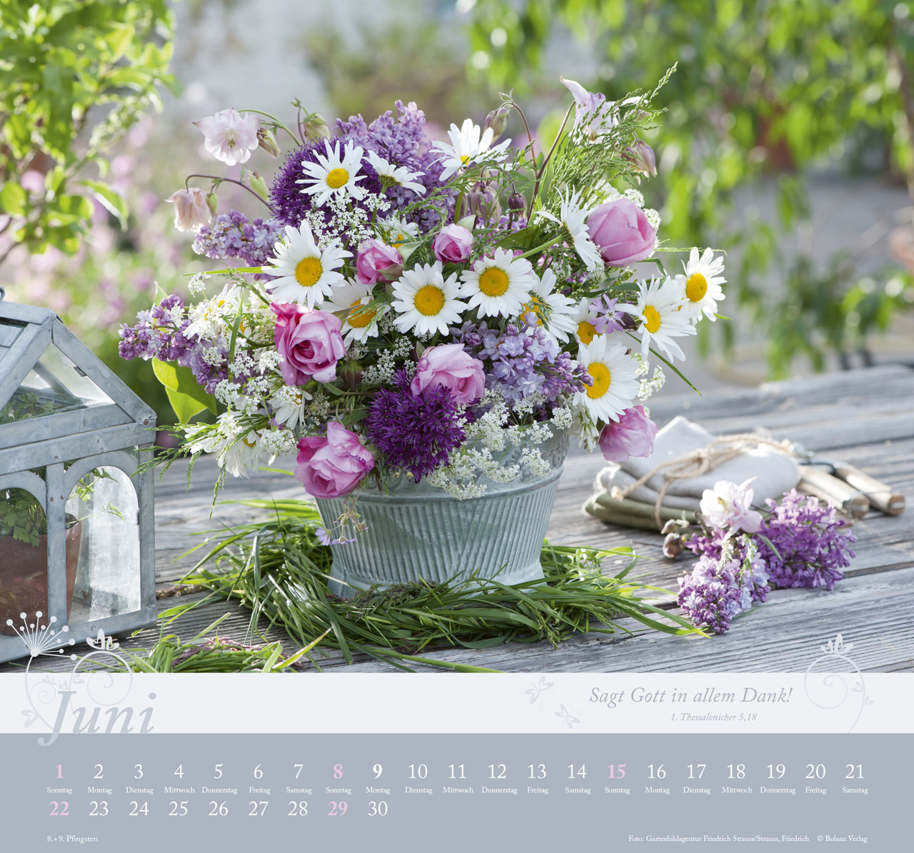 Im Garten zu Hause 2025 - Wandkalender