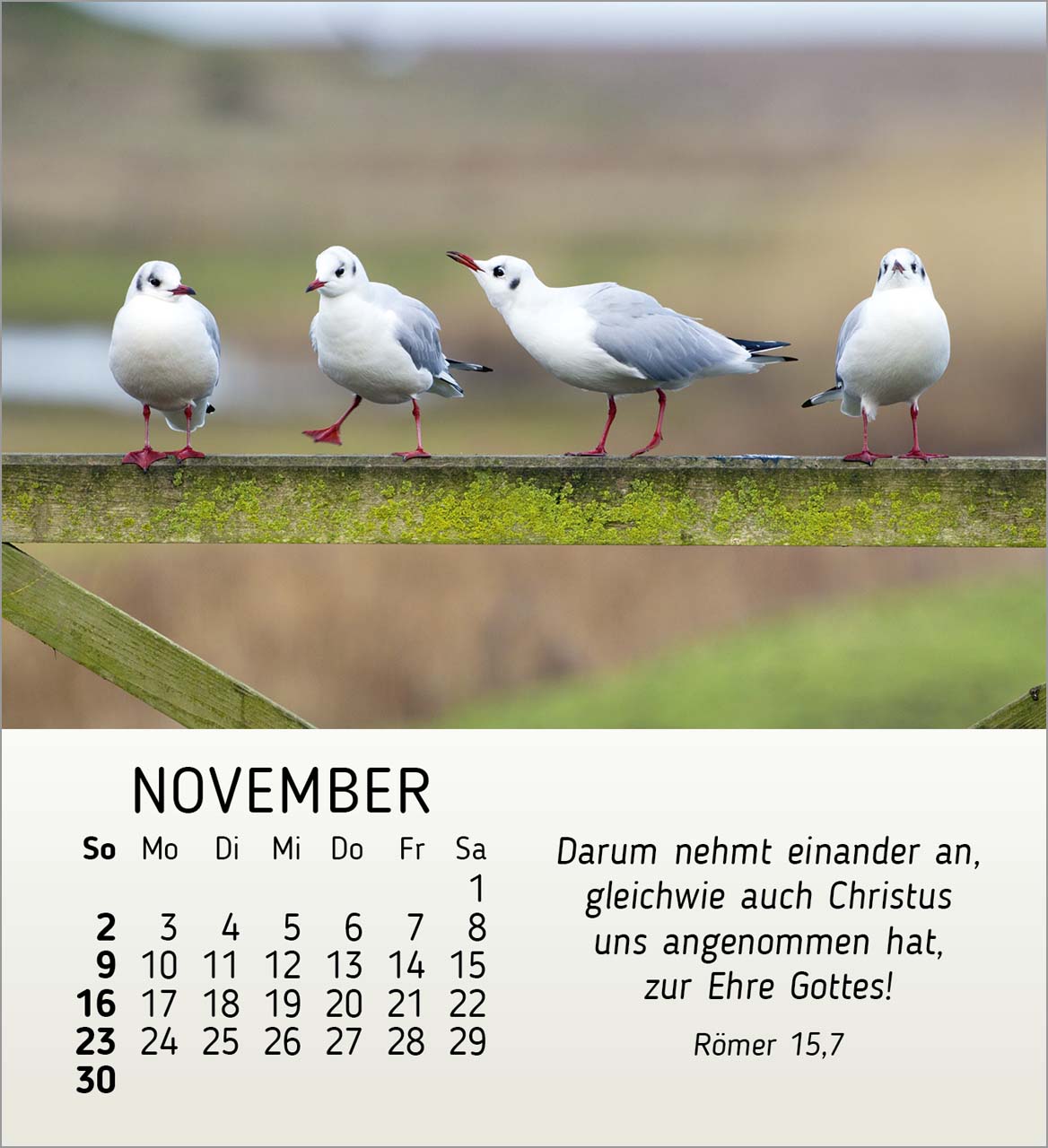 Stille Begegnungen Tischkalender