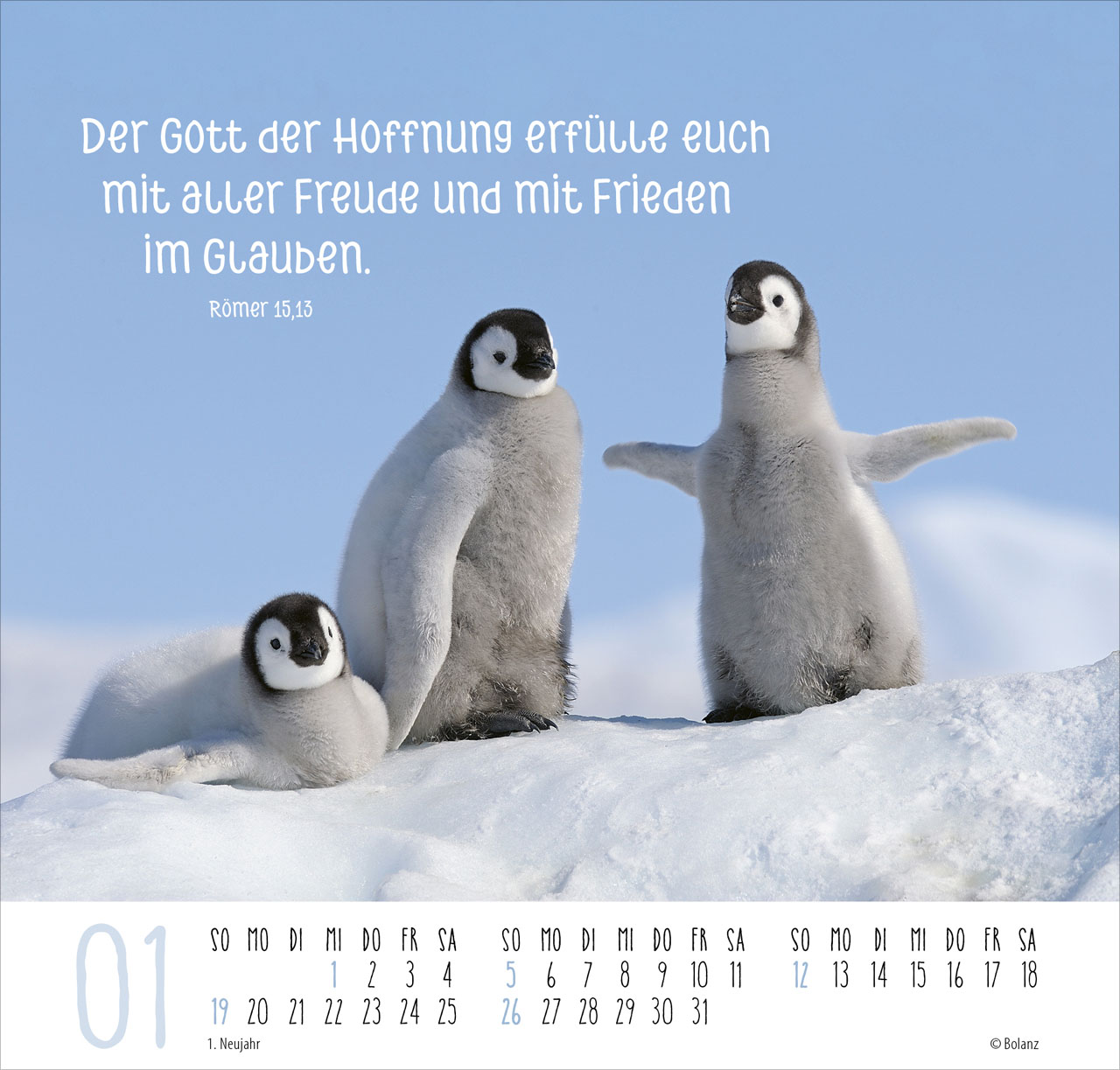 Beste Freunde - Ich mag dich 2025 - Posterkalender