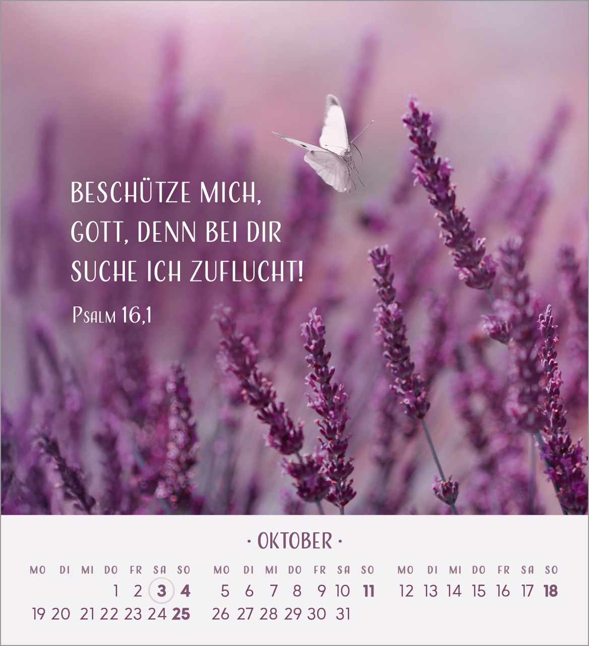 Zarte Blumengrüße Tischkalender 2026
