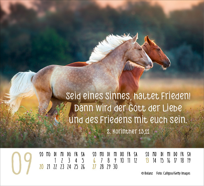 Pferde - elegante Schönheiten - Minikalender 2026 Pferde - elegante Schönheiten - Minikalender 2026