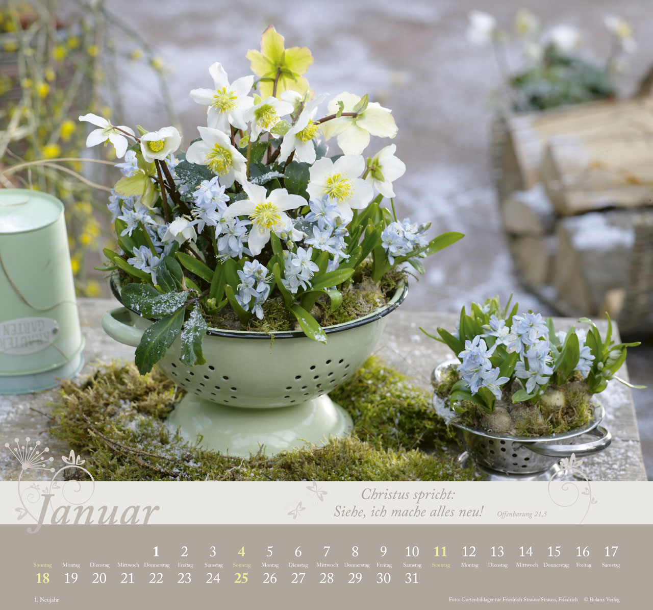 Im Garten zuhause 2026 - Wandkalender