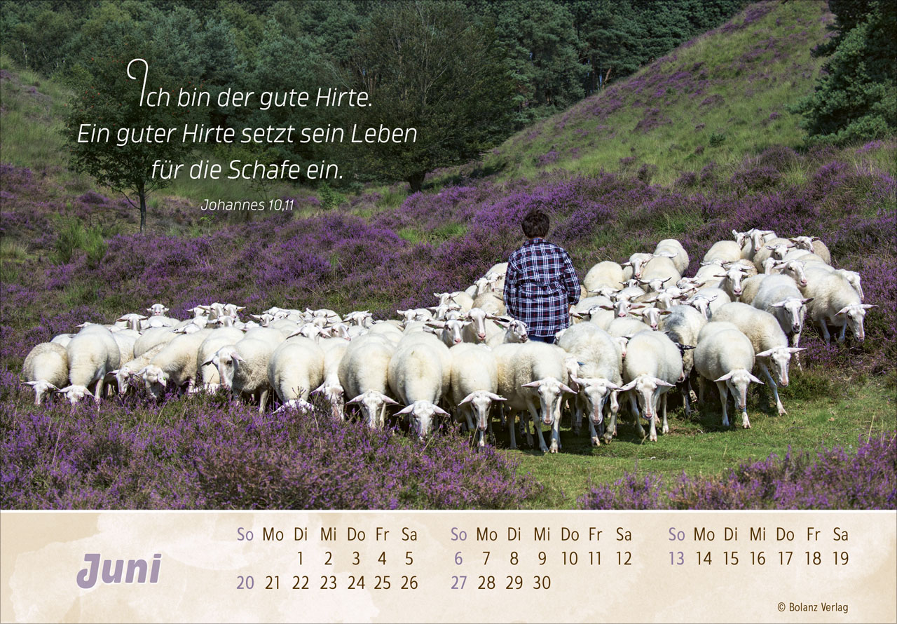 Der Gute Hirte 2027 – Panoramakalender