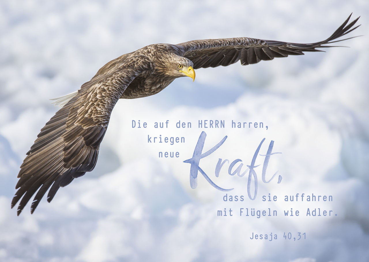 Postkarte neue Kraft