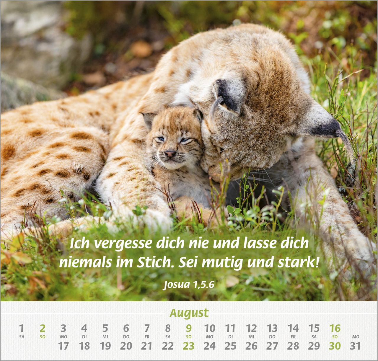 Ich hab dich gern Wandkalender 2026