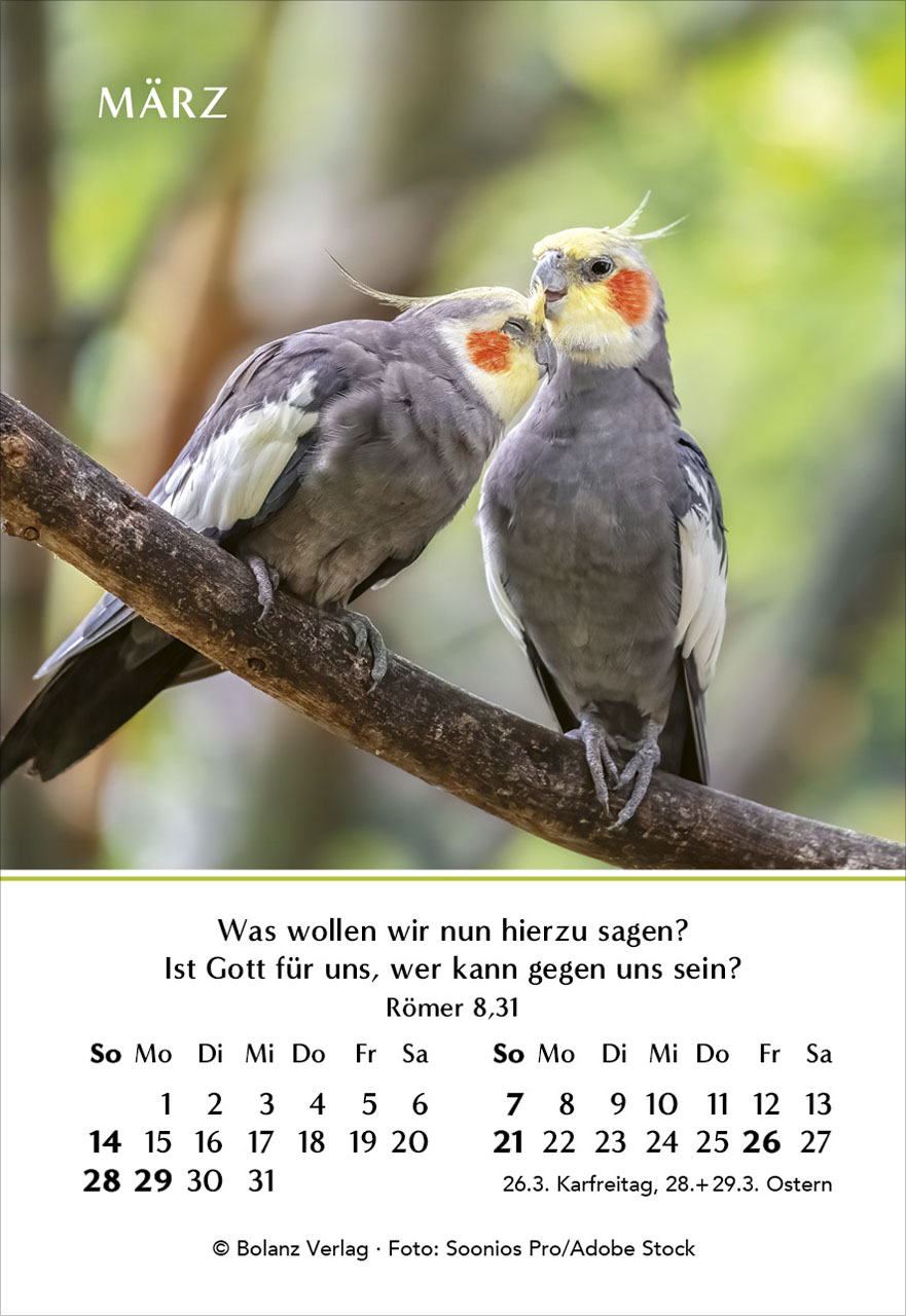 Ein Jahr der Geborgenheit 2027 Minikalender