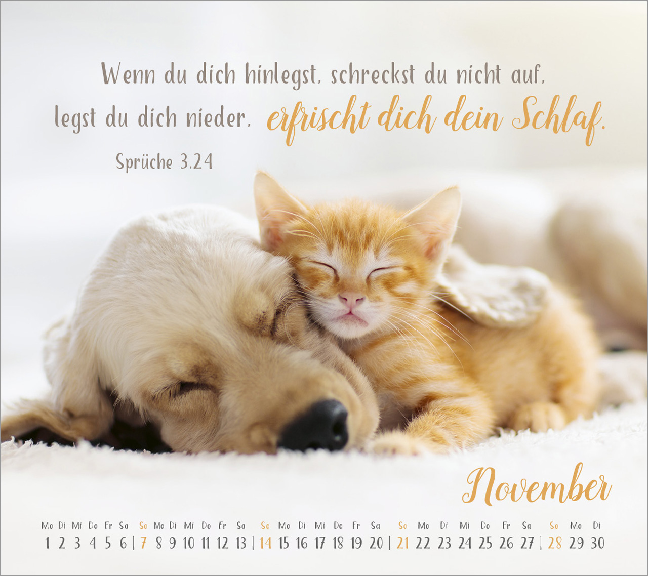 Segensworte  2027 – Tischkalender