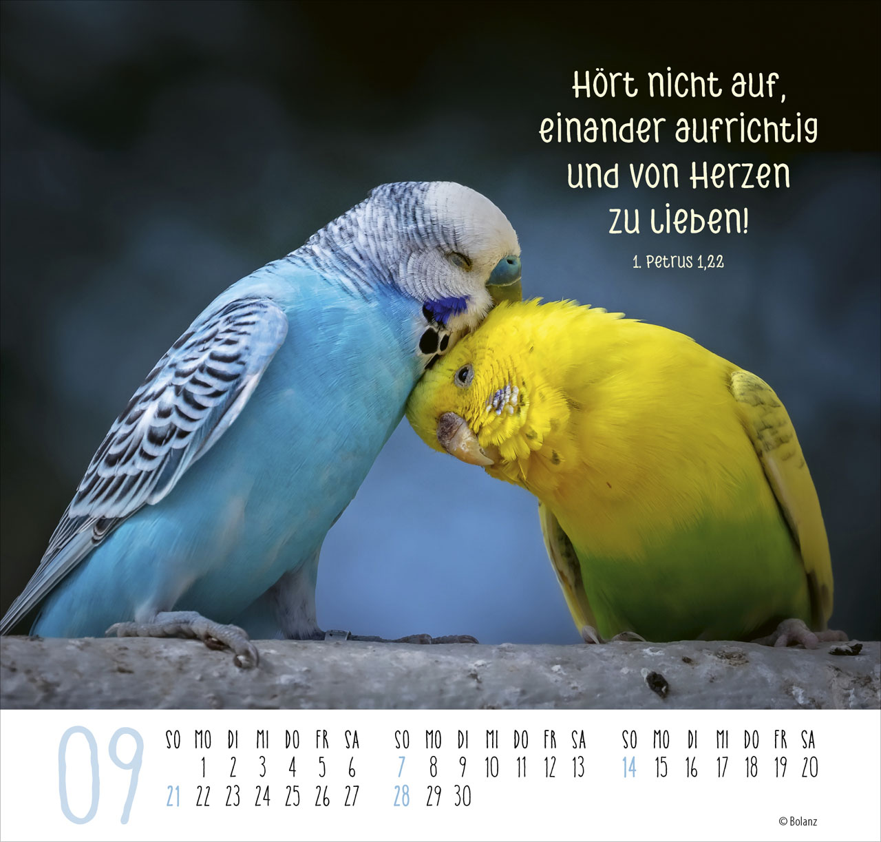 Beste Freunde - Ich mag dich 2025 - Posterkalender