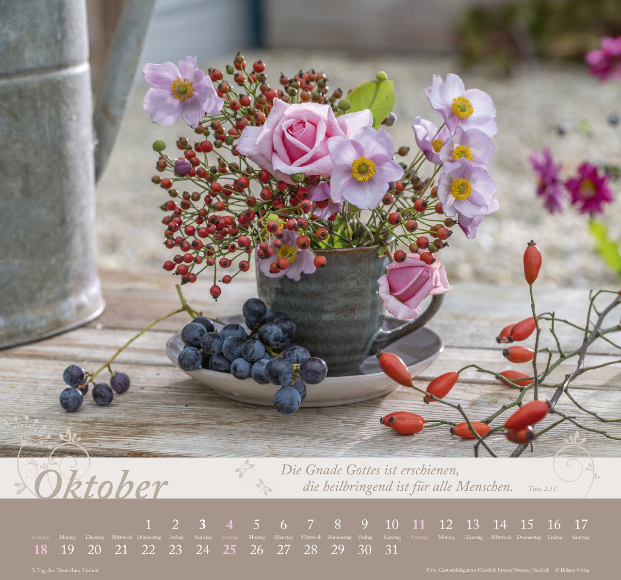Im Garten zuhause 2026 - Wandkalender
