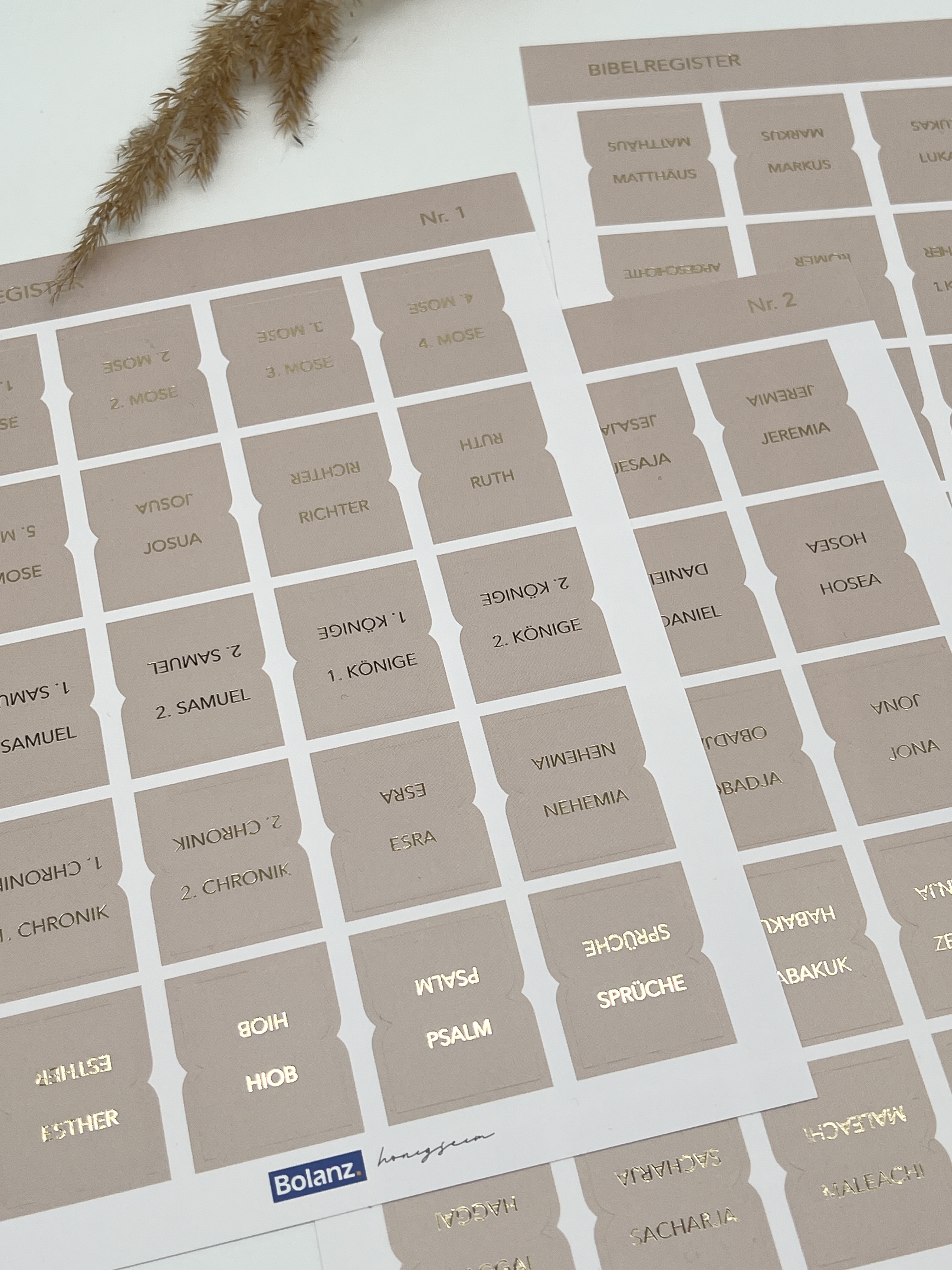 Bibel-Griffregister Cremefarben mit Goldveredelung