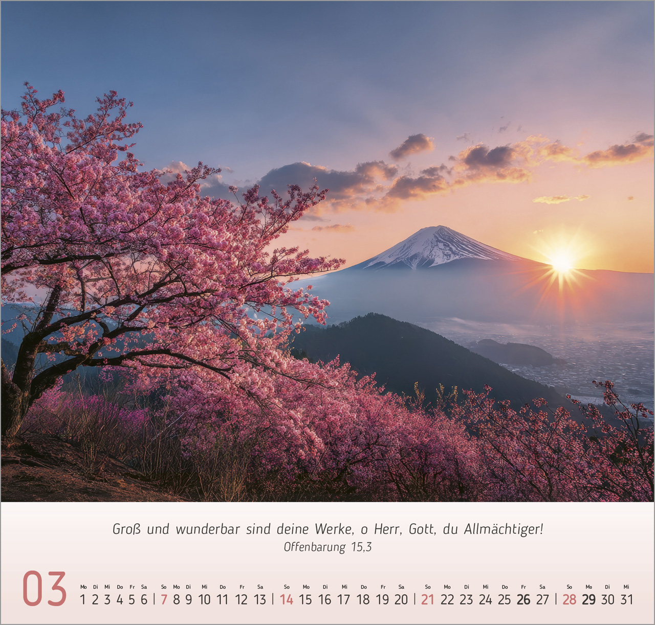 Licht-Impressionen 2027 – Wandkalender