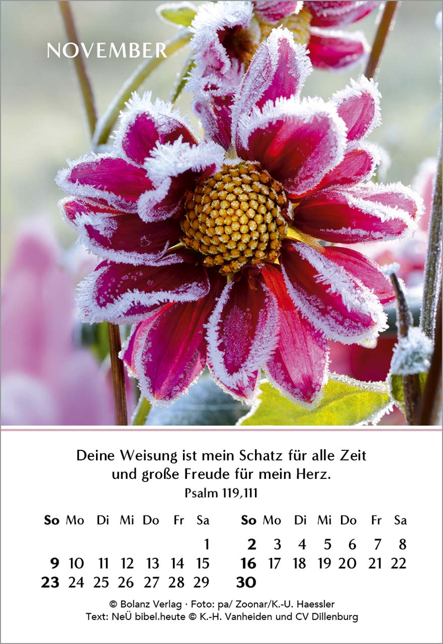 Ein Jahr der Freude Mini-Kalender