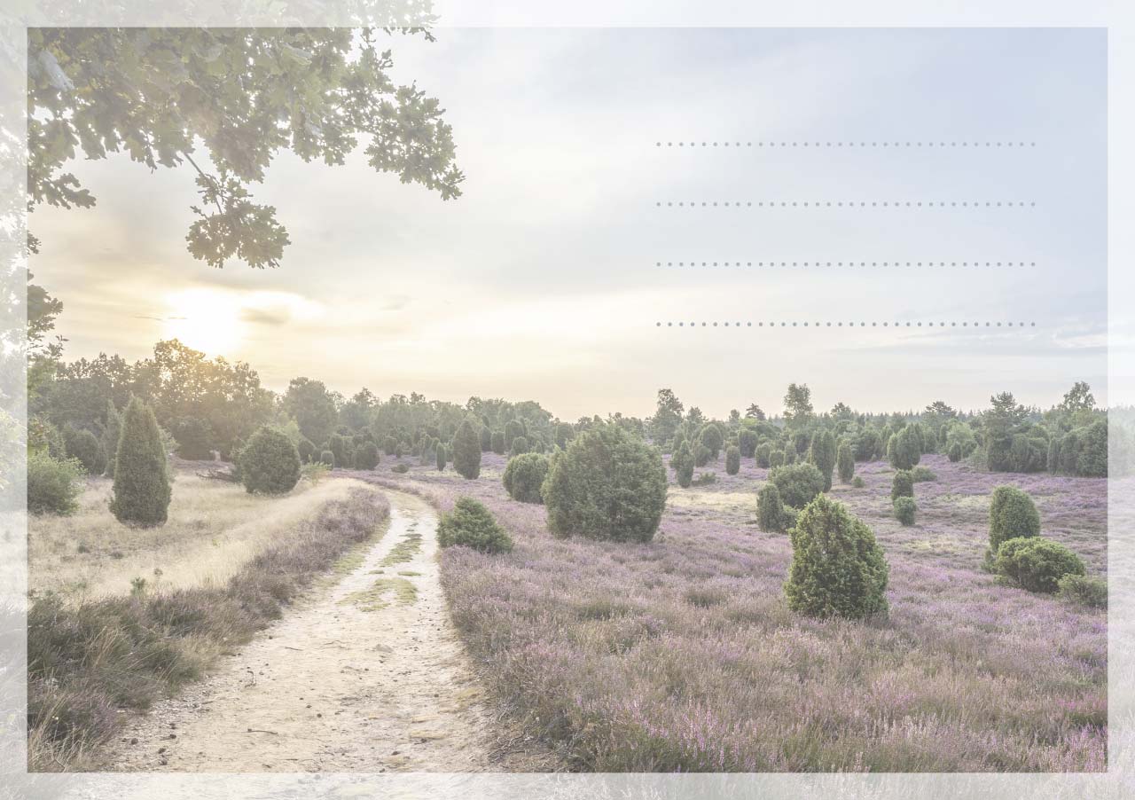 Grußheft - Sei getröstet