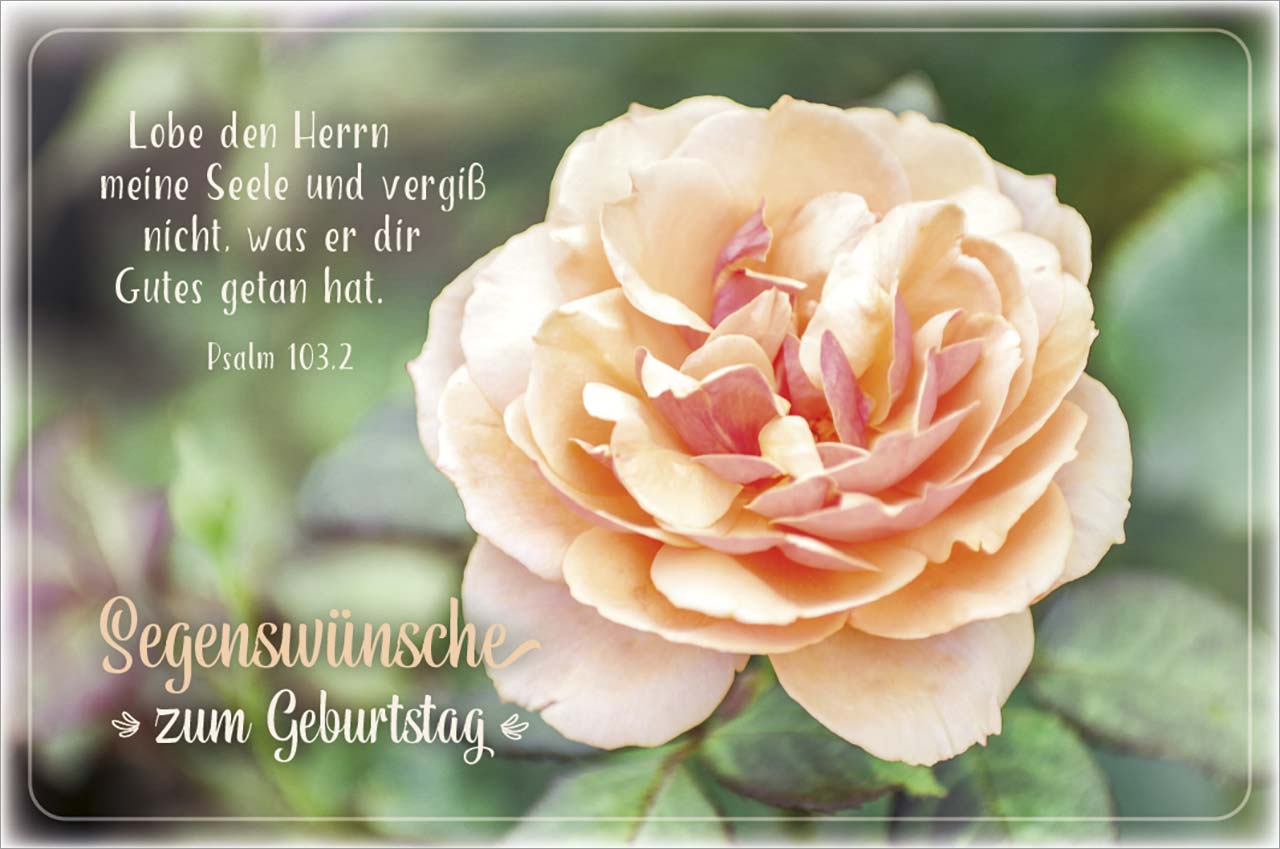Faltkarte Lobe den HERRN- Rose Geburtstag