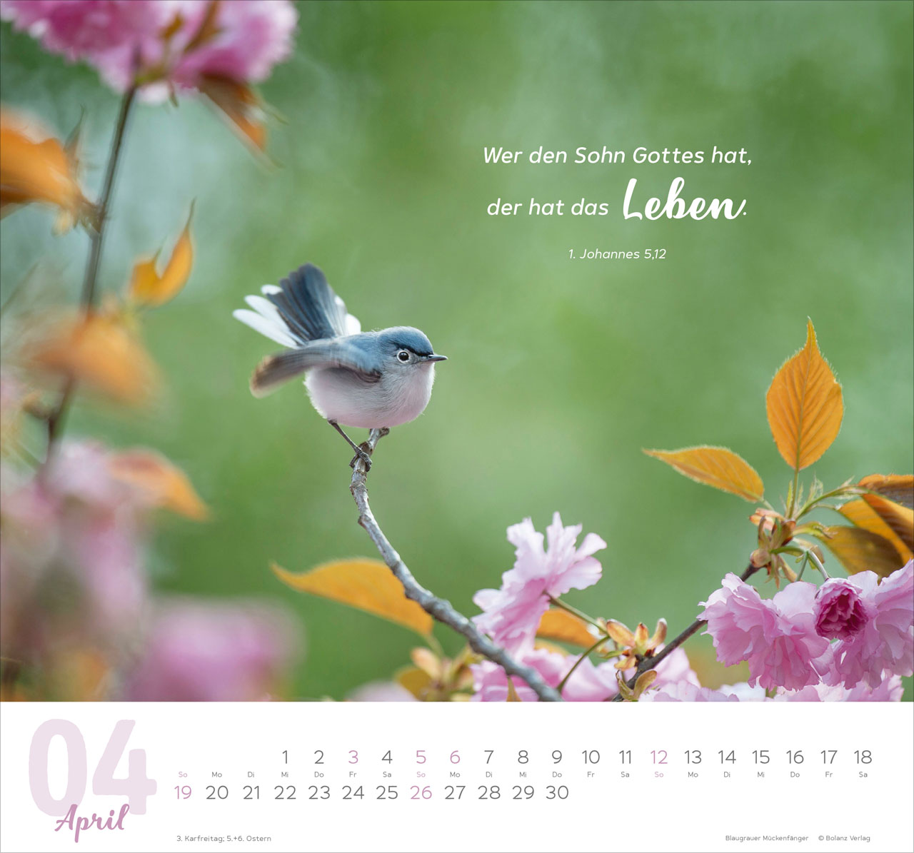 Meine Zeit 2026 - Wandkalender