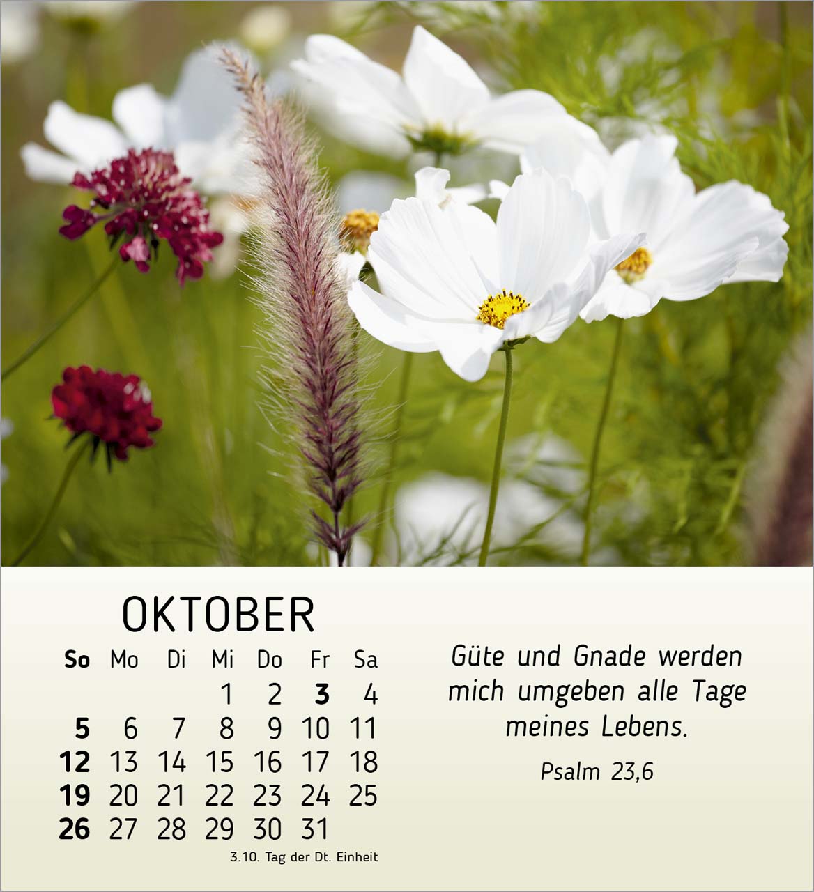 Ich wünsche dir Freude Tischkalender