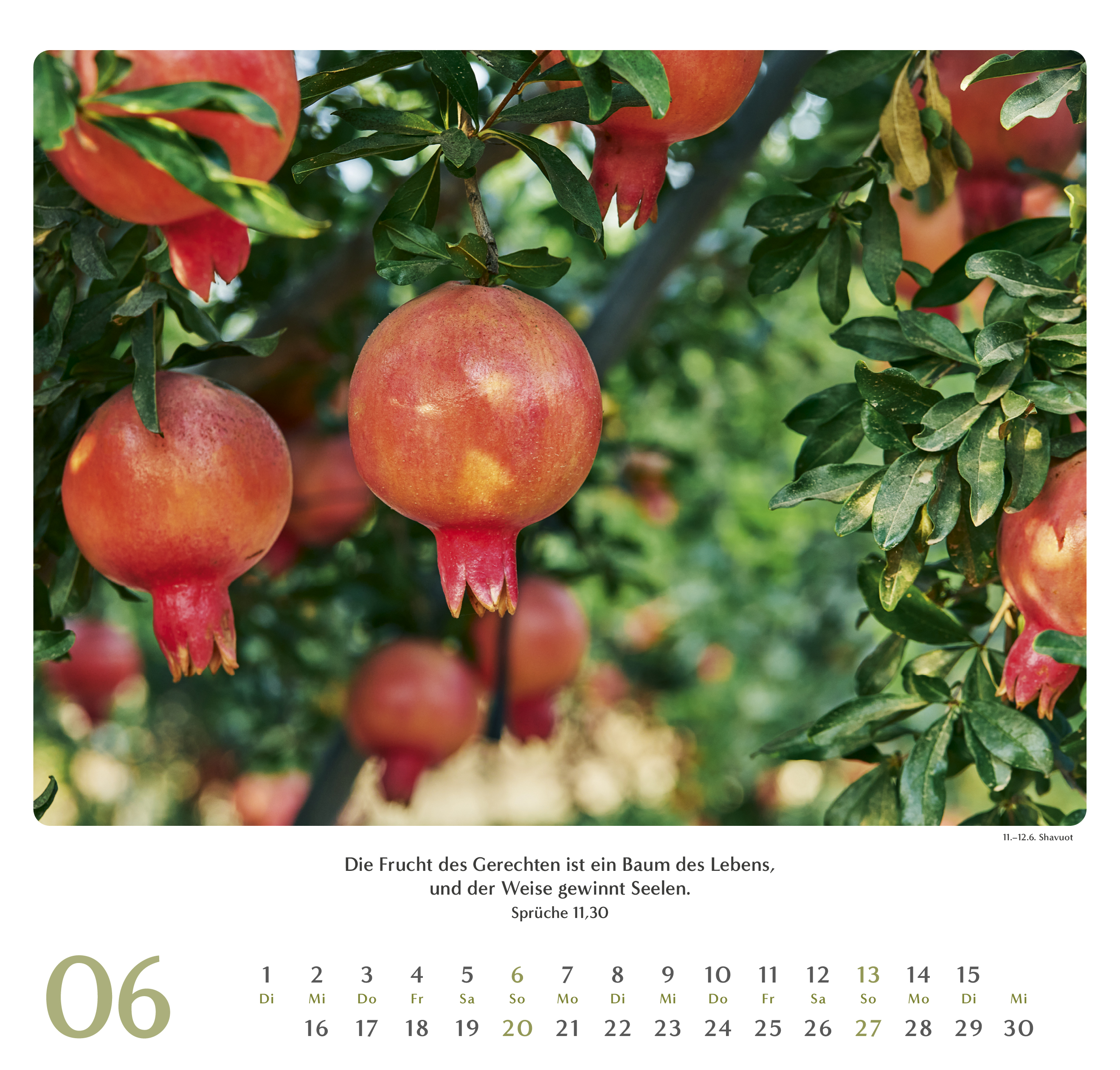 Geliebtes Israel 2027 – Wandkalender