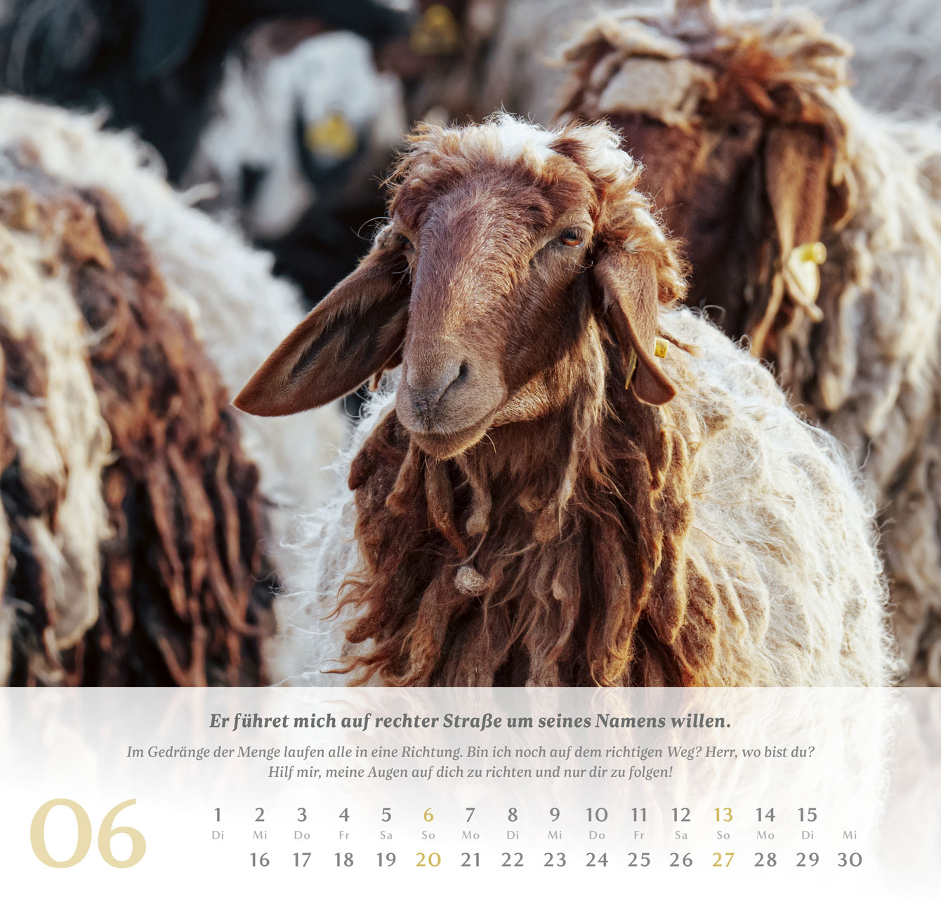 Psalm 23 – 2027 –  Wandkalender