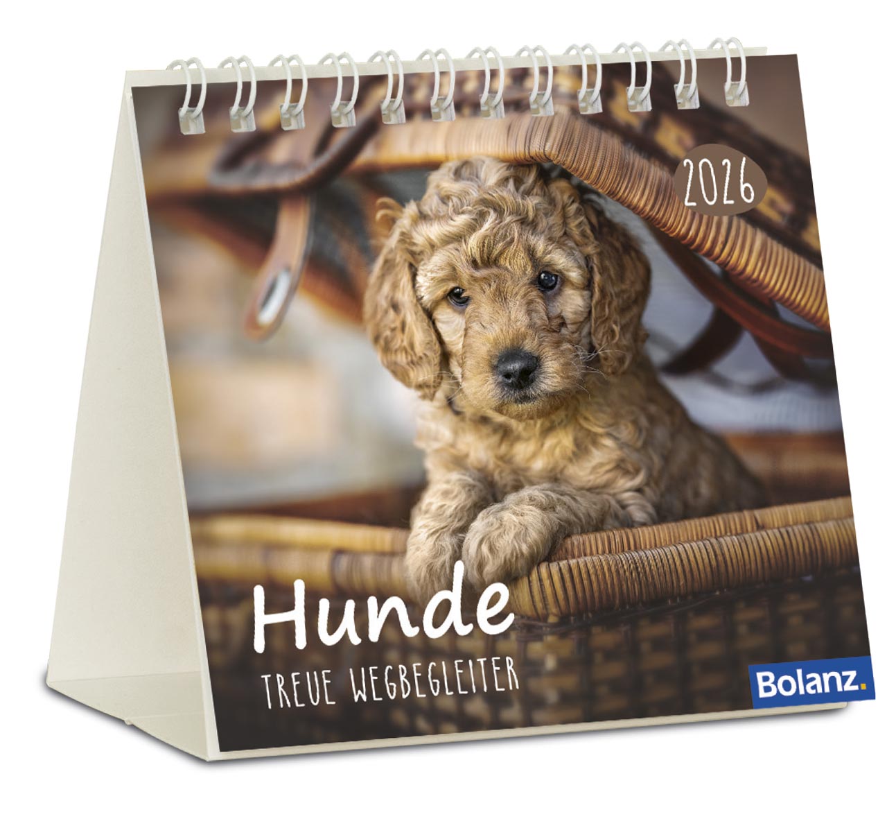 Hunde - treue Wegbegleiter  - Minikalender 2026