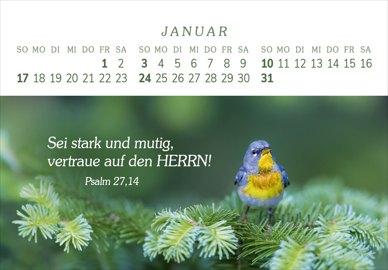 Das Geschenk der Freude 2027 – Panorama-Tischkalender