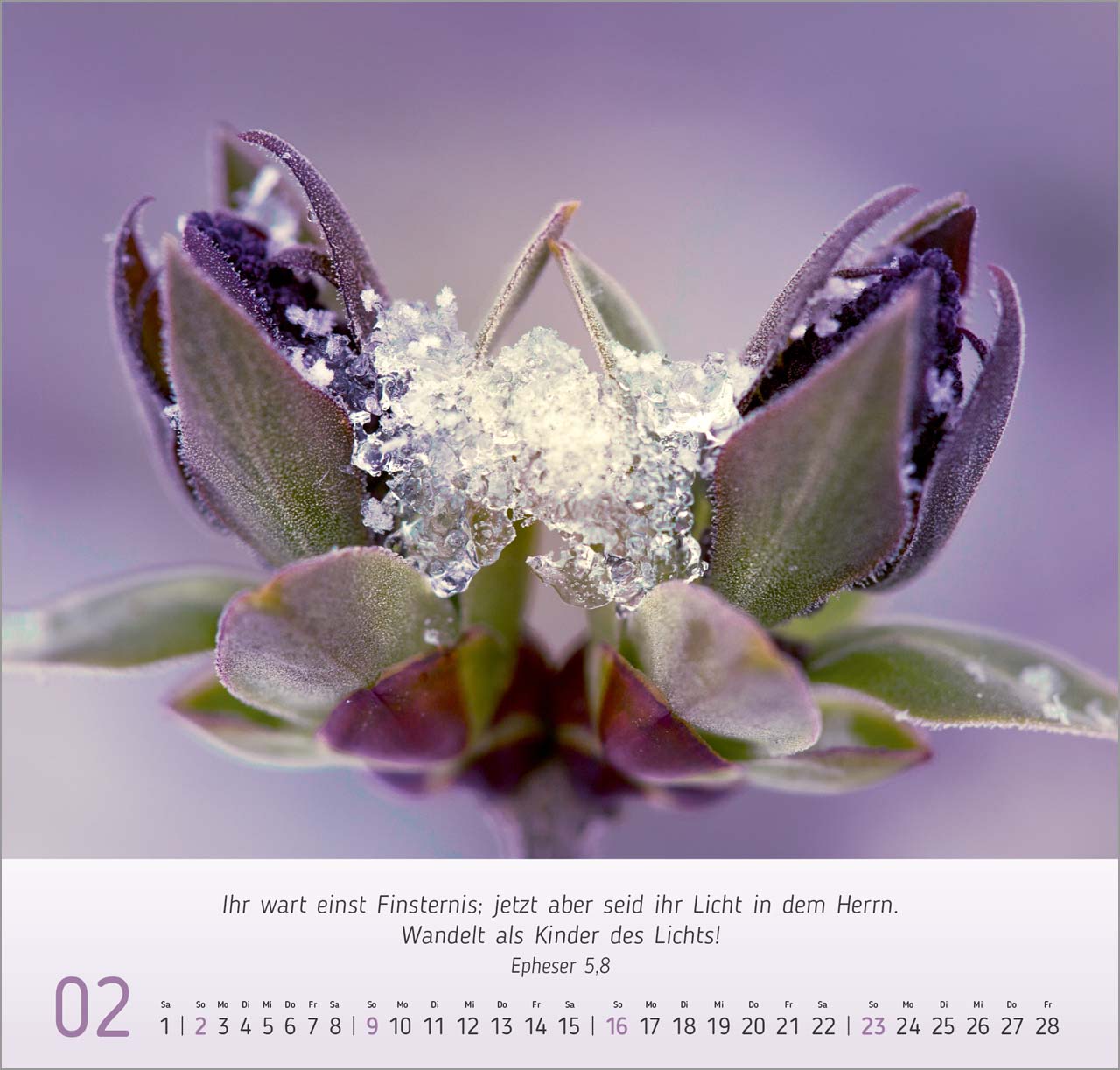 Gesichter der Natur Wandkalender