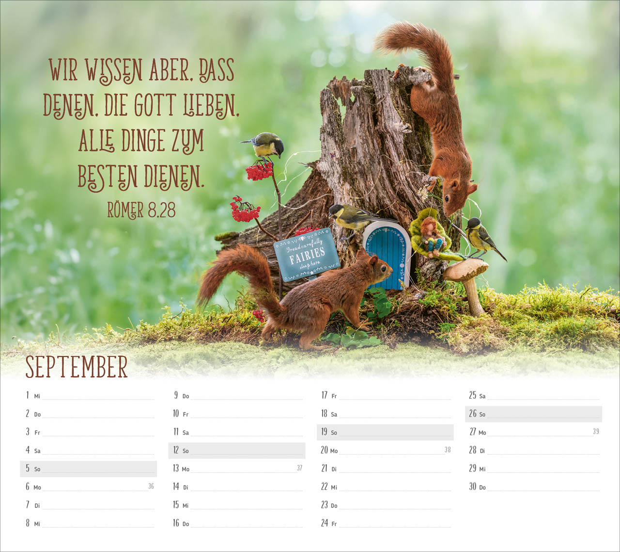 Du sorgst für mich 2027 – Tischkalender