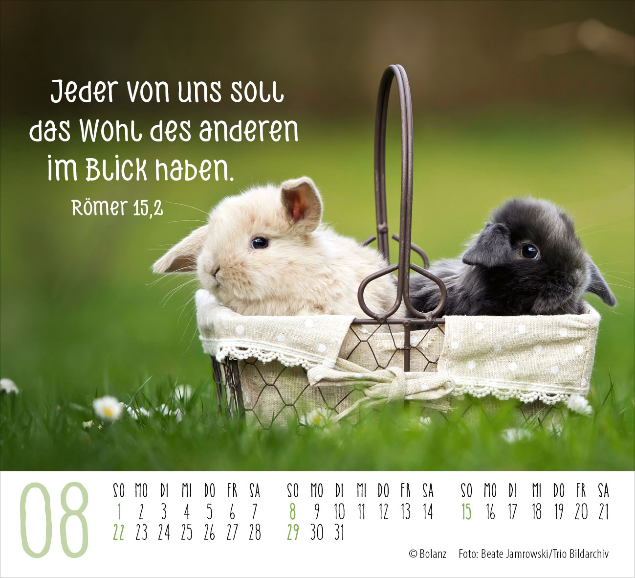 Begegnungen – dich vergess ich nie 2027 – Minikalender