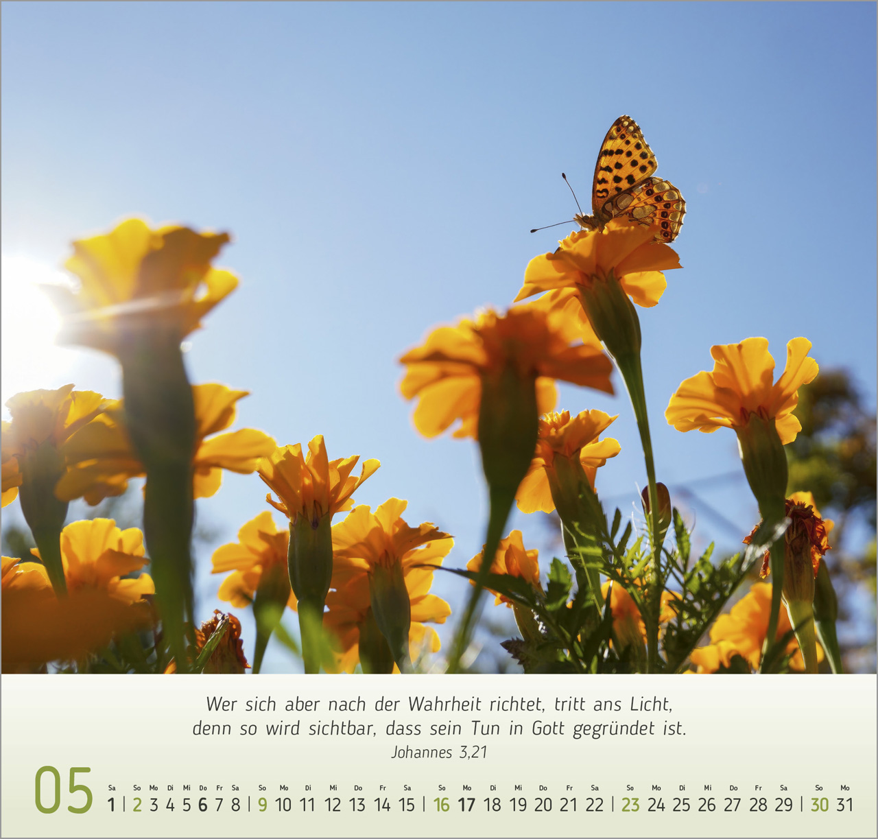 Licht-Impressionen 2027 – Wandkalender
