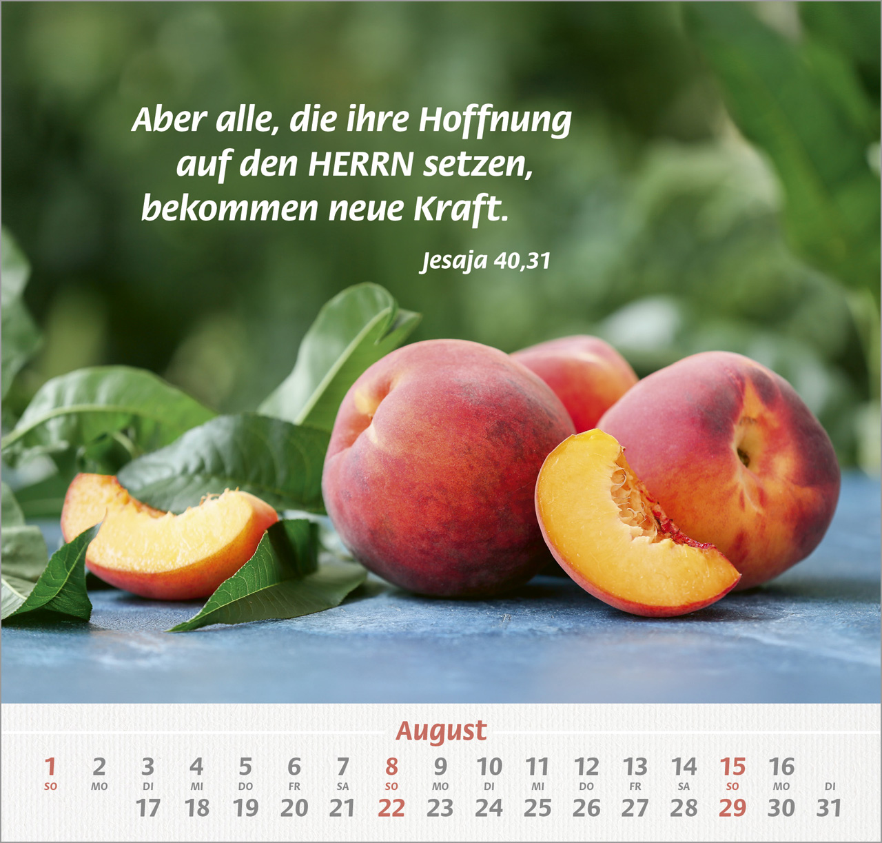 Denn du bist bei mir 2027 – Wandkalender