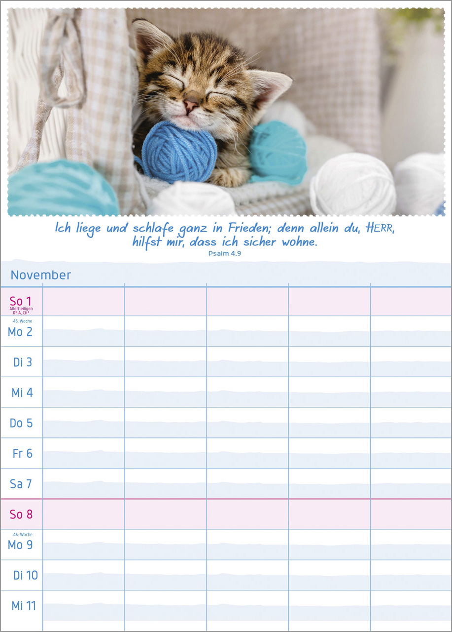 Multiplaner 2026 - Terminplaner Multiplaner 2026 - Terminplaner