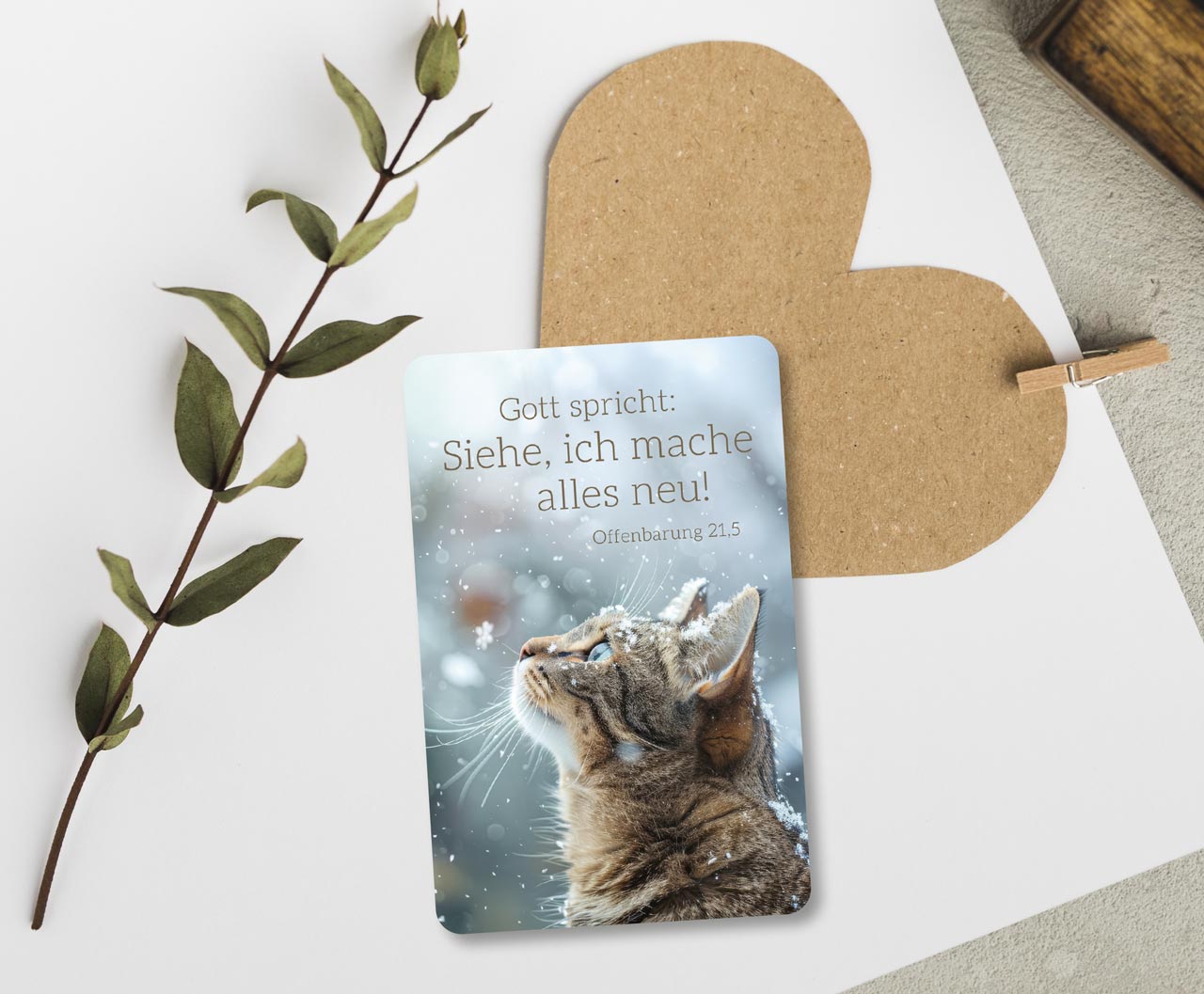 Kalenderkärtchen "Katze" 2026