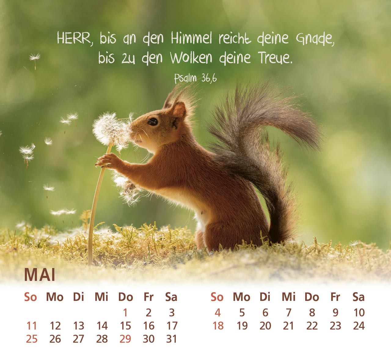 Du bist meine Freude - Eichhörnchen Kalender