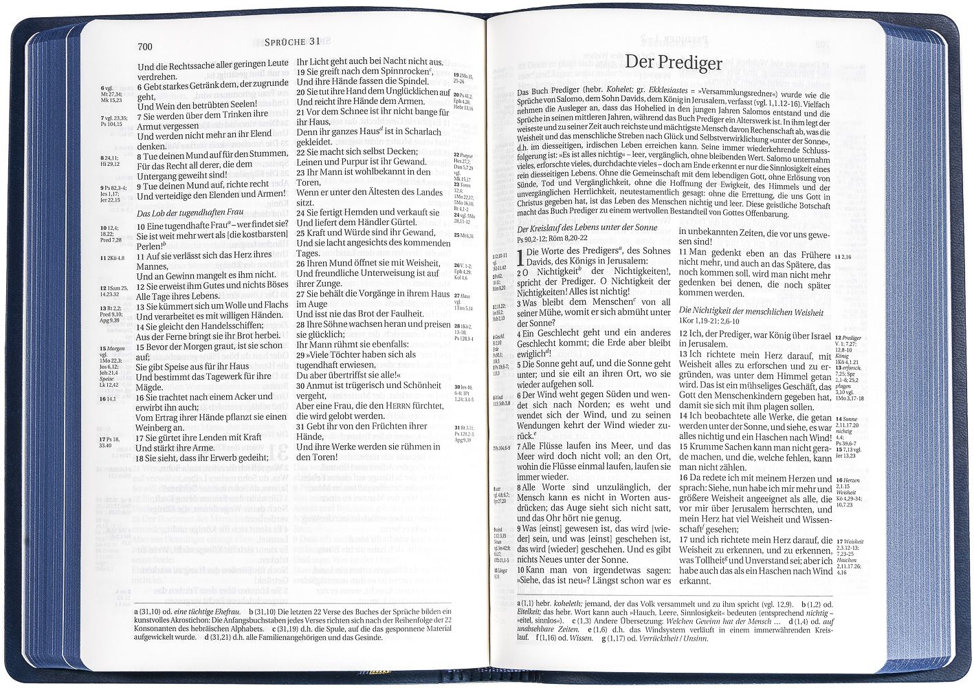 Schlachter 2000 Bibel - Taschenausgabe, sandfarben, blauer Farbschnitt