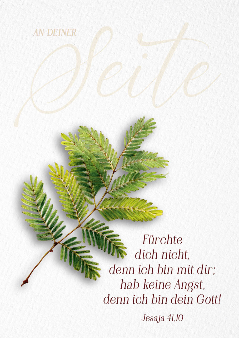 Poster Jahreslosung 2027 Zweig A4