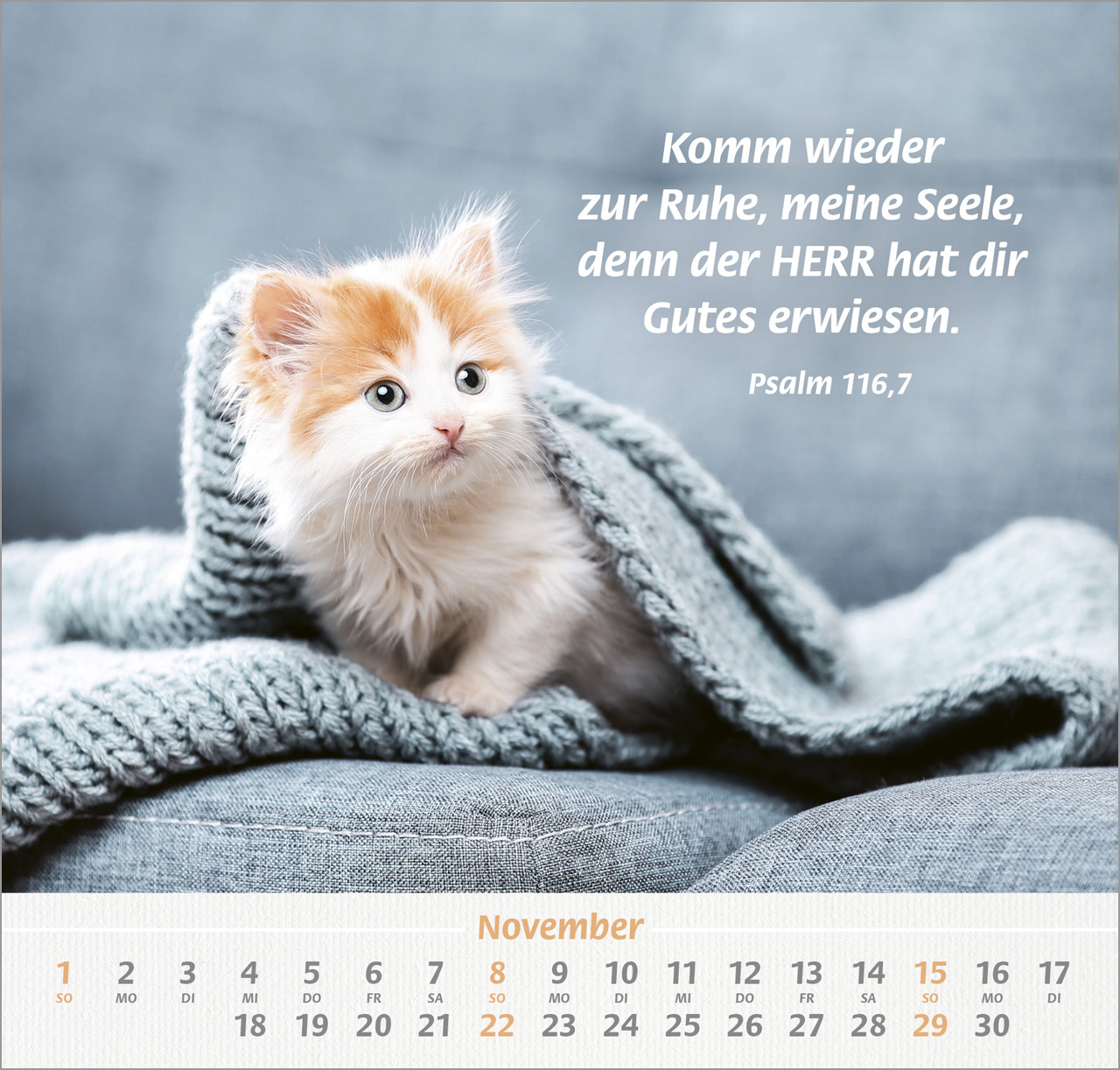 Ich hab dich gern Wandkalender 2026