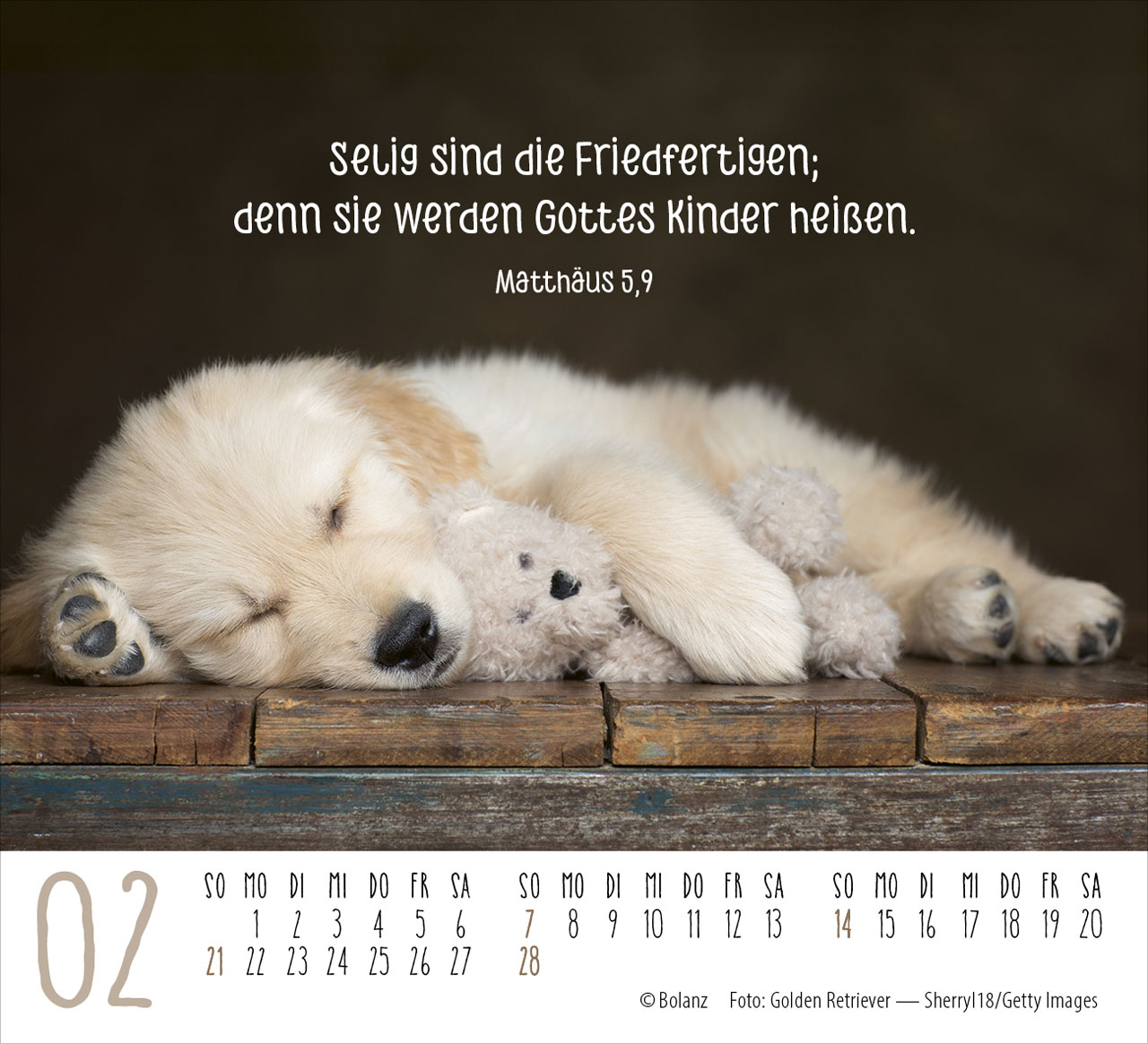 Hunde – treue Wegbegleiter 2027 – Minikalender