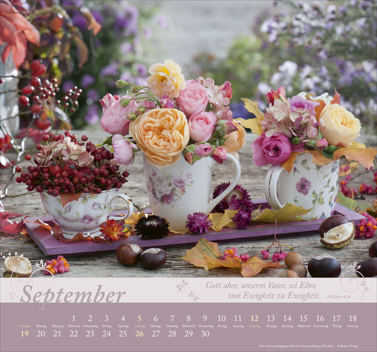Im Garten zuhause 2027 – Wandkalender