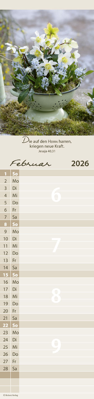 Von Mir zu Dir 2026 - Streifenterminer