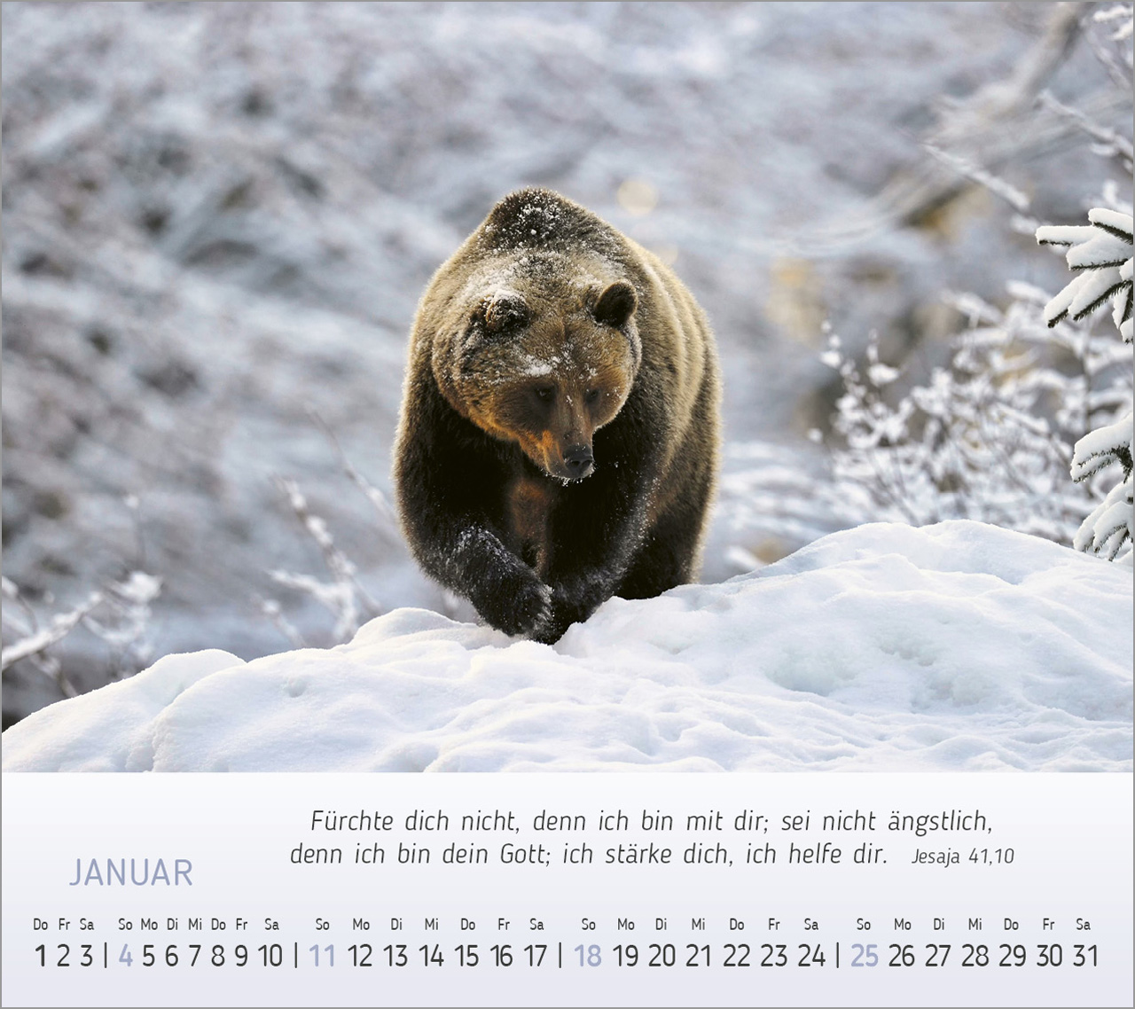 Foto-Träume - Tischkalender 2026 Foto-Träume - Tischkalender 2026