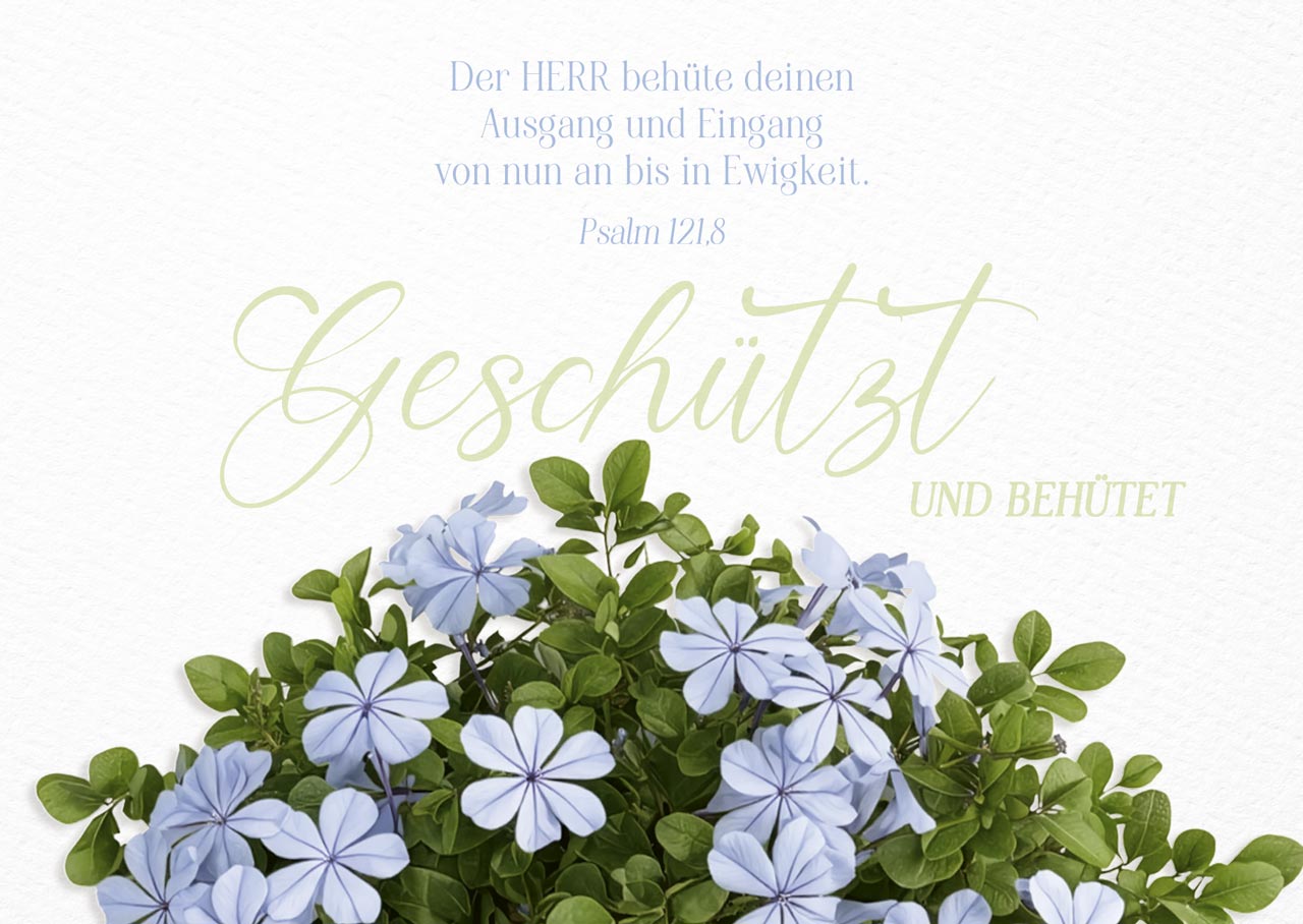 Postkarte Geschützt und behütet