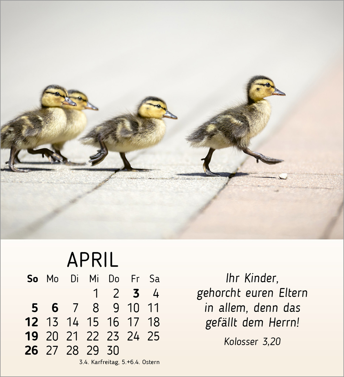 Meine kleinen Freunde 2026 - Tischkalender Meine kleinen Freunde 2026 - Tischkalender