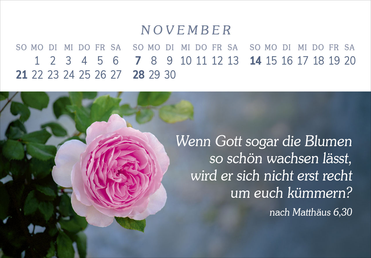 Das Geschenk der Freude 2027 – Panorama-Tischkalender