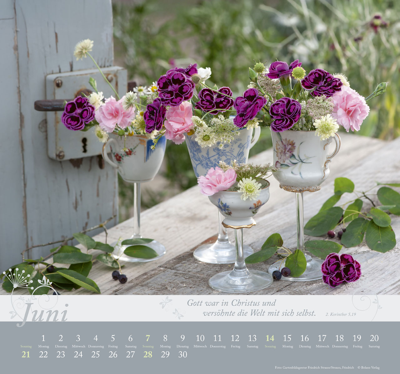 Im Garten zuhause 2026 - Wandkalender