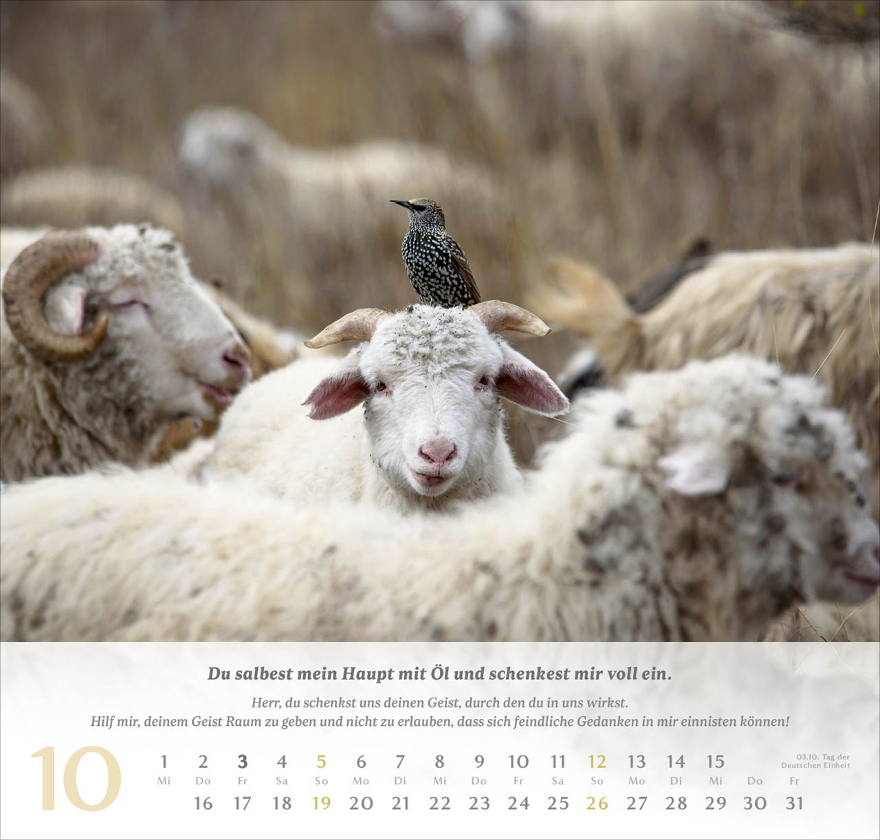 Psalm 23 Wandkalender