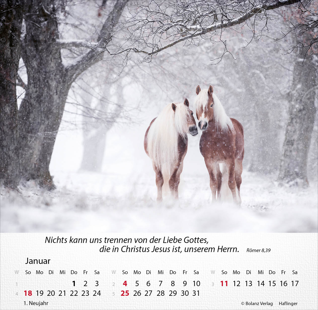 Pferde 2026 - Tischkalender