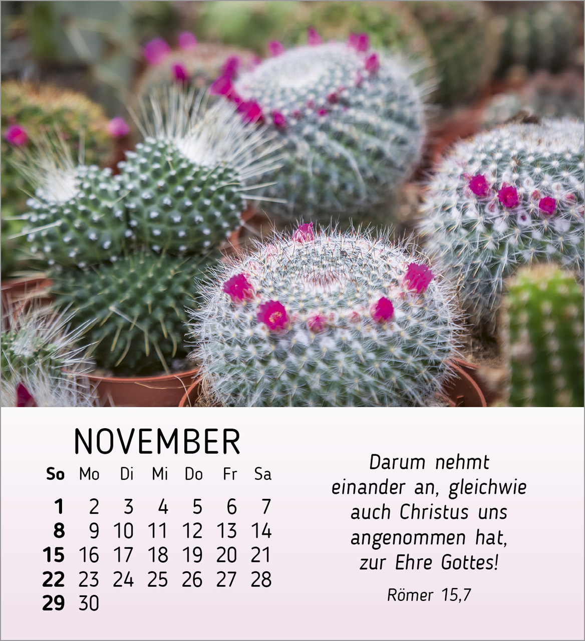 Ich wünsche dir Freude Tischkalender 2026