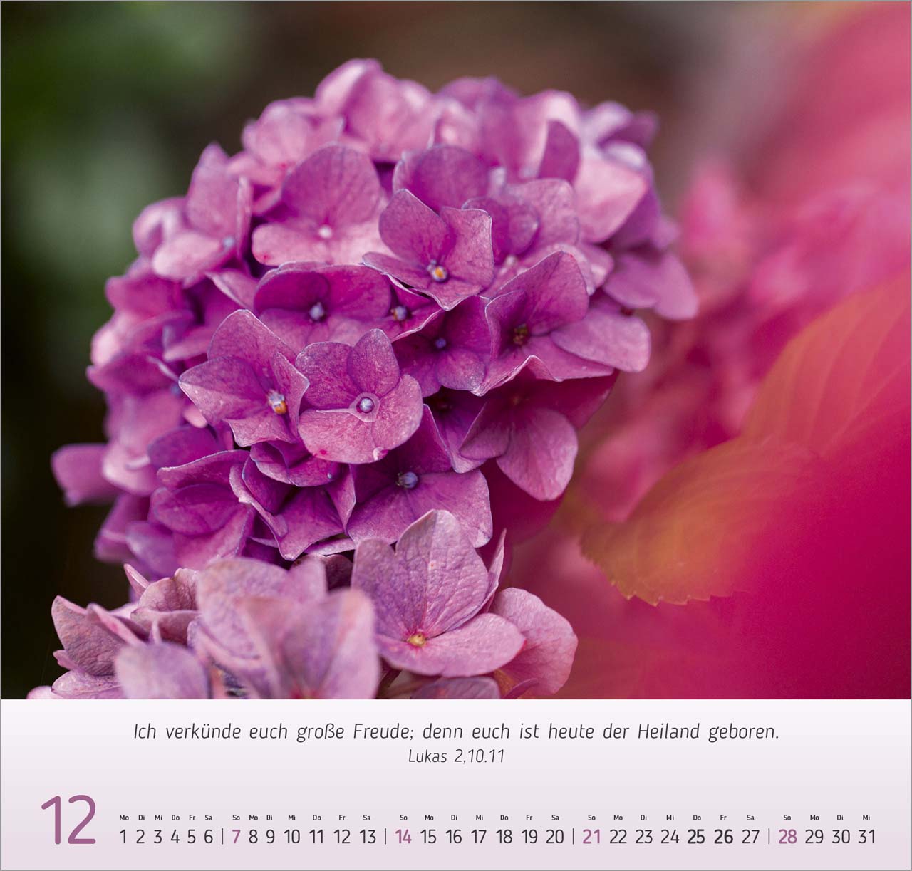 Blumen-Impressionen Wandkalender