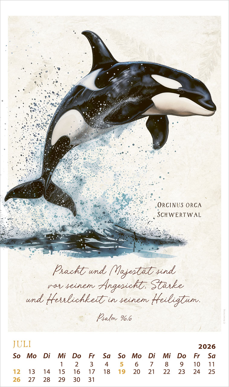 Schmuck Stücke des Schöpfers 2026 - Posterkalender