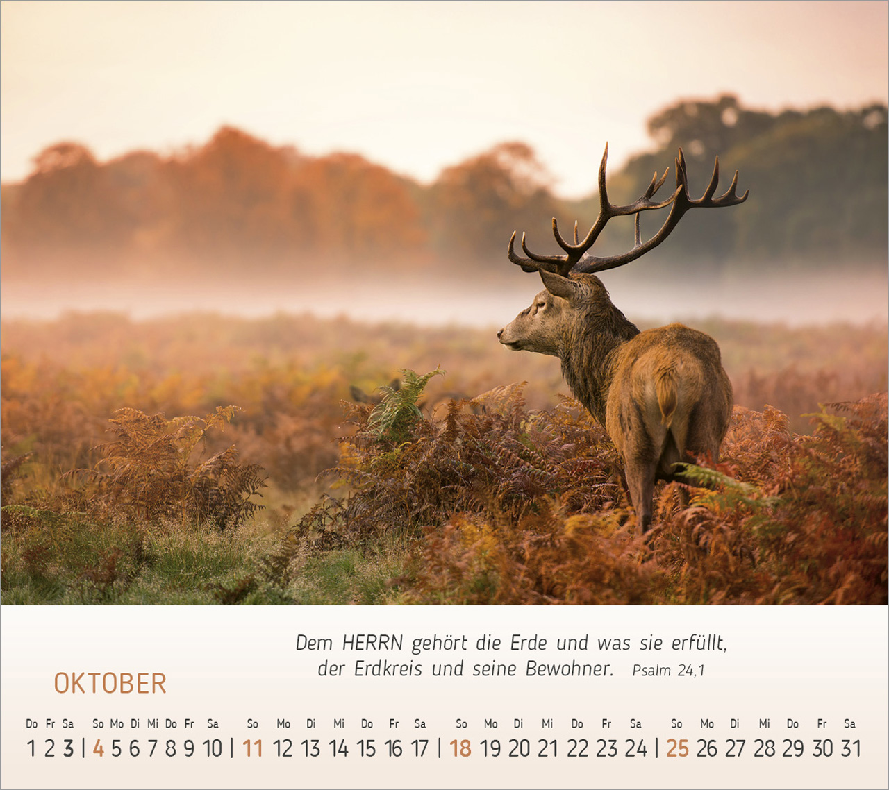 Foto-Träume - Tischkalender 2026 Foto-Träume - Tischkalender 2026
