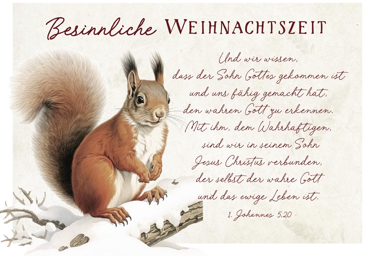 Postkarte Eichhörnchen zu Weihnachten